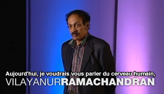 La notion d’interconnexion serait-elle liée à nos neurones ? (VIDEO)