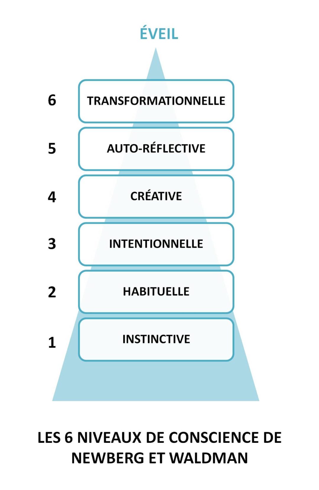 Devenir le héros de sa vie grâce aux 6 niveaux de conscience du cerveau Christelle Lauret Devenir le héros de sa vie grâce aux 6 niveaux de conscience du cerveau Christelle Lauret